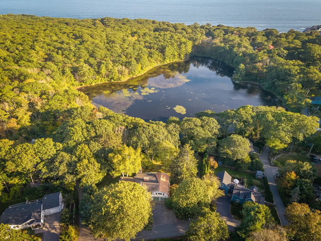 Aerial view of a dark lake surrounded by dense green trees, with houses nestled among the trees and the ocean in the background.