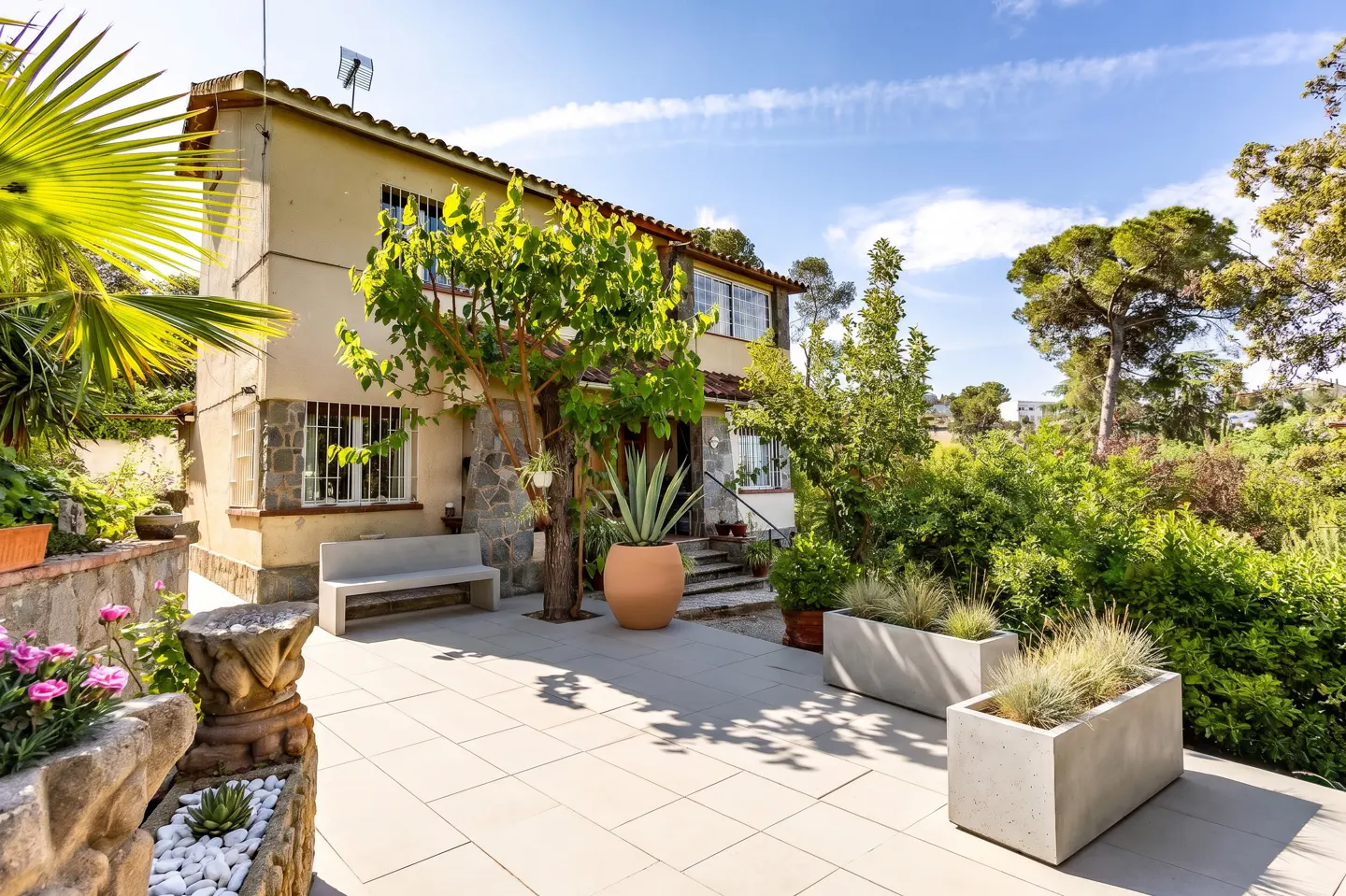 [AI-generated photo]