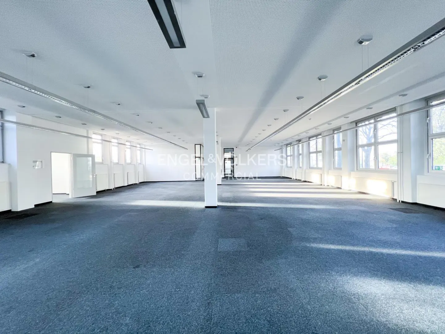 Bright, empty office space with blue carpet, white walls, and many windows. Overhead lighting and a support column are visible.