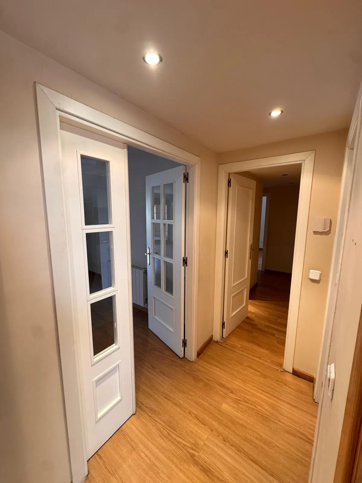 Hallway with light wood floors and cream walls. Three white paneled doors lead to other rooms. Recessed lighting in the ceiling.