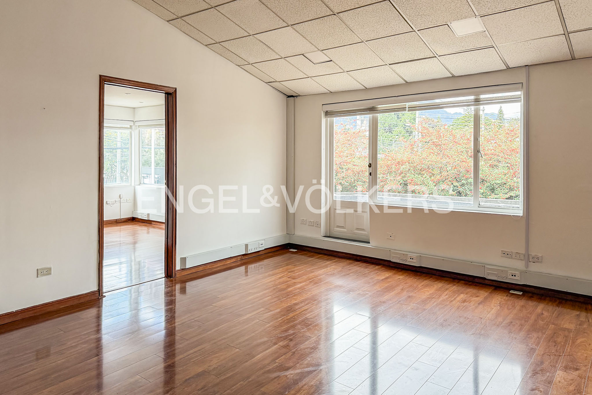 Arriendo Local en el Polo con 9 parqueaderos