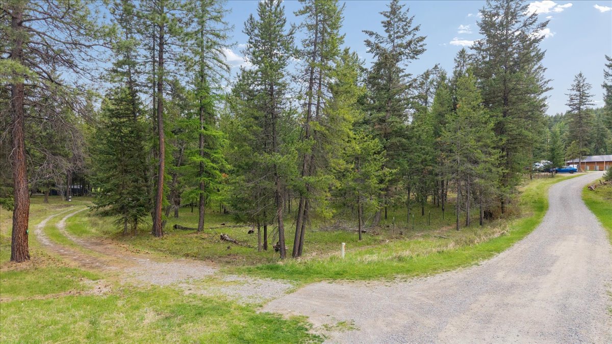 Level Wooded Lot