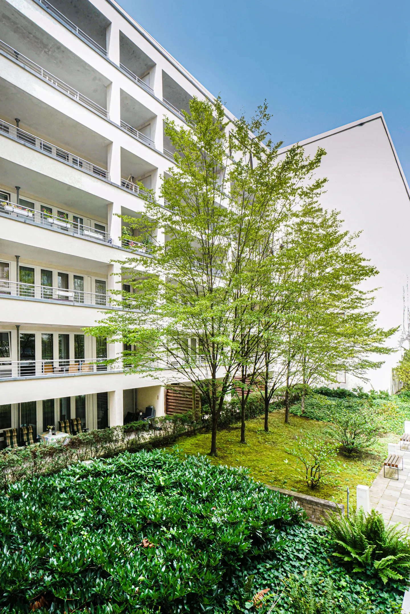 Modern white apartment building with balconies overlooks a green courtyard with trees and shrubs.