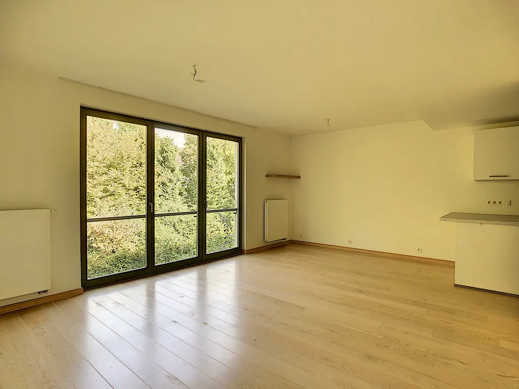 Bright, empty room with light wood floors, white walls, and a large black-framed window overlooking green trees. A small kitchen area is visible.