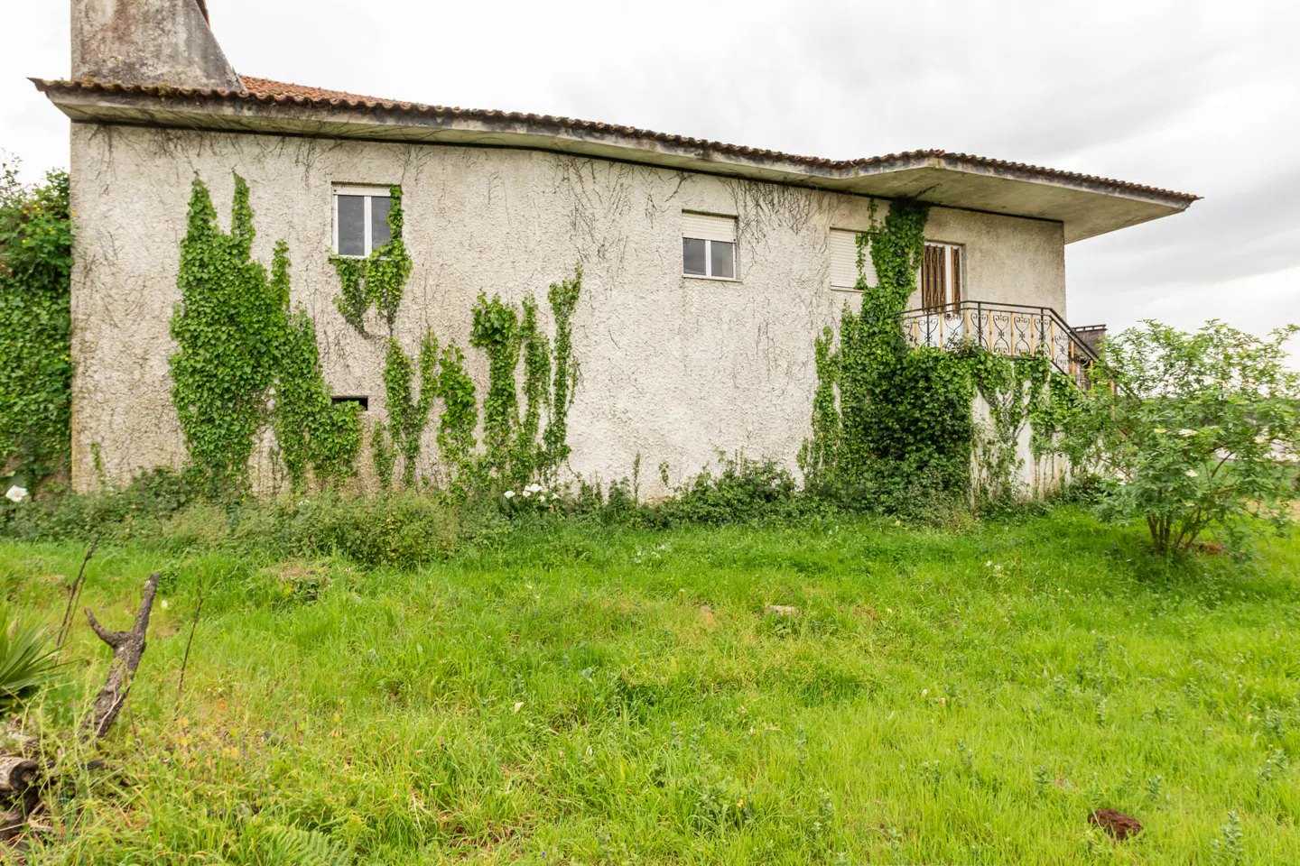 Exterior of a two-story house with stucco walls and green ivy growing on the walls, surrounded by overgrown grass.