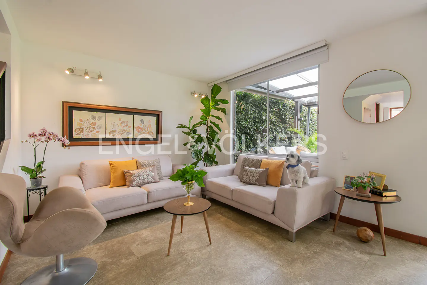 Living room with two sofas, a round mirror, and a dog sitting on one of the sofas. A glass-enclosed patio is visible through a window.