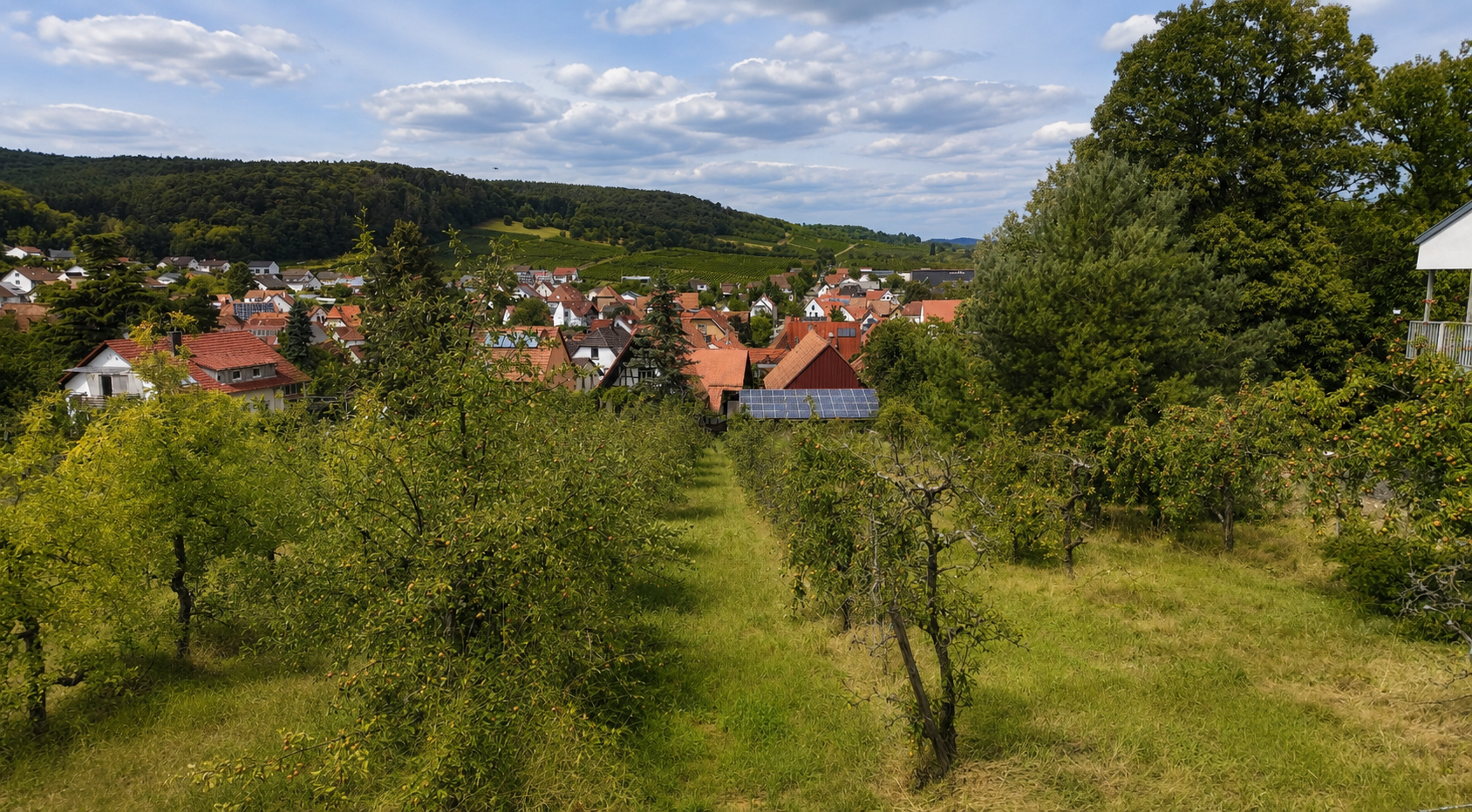 Attraktives Baugrundstück in sonniger Südhanglage