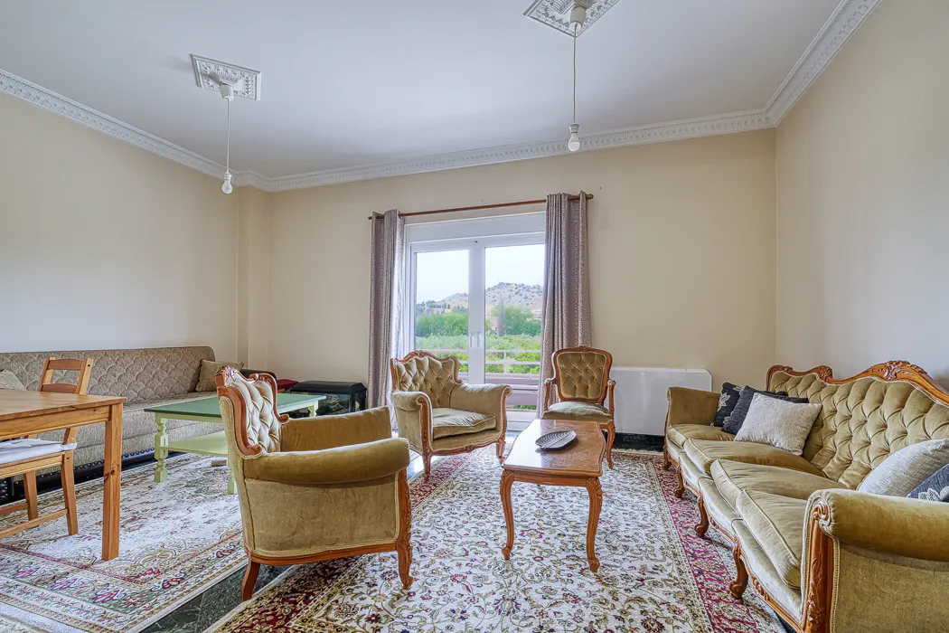 A living room with beige walls, a patterned rug, and olive green furniture. A window shows a view of greenery.