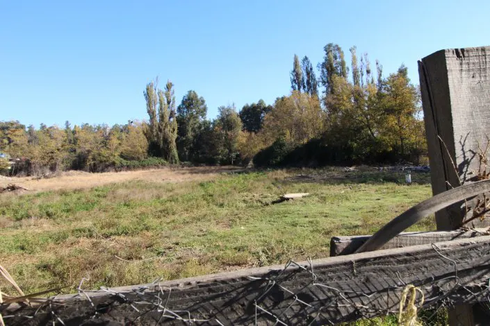Vacant lot with green and brown grass, framed by a weathered wooden fence and trees under a clear blue sky.