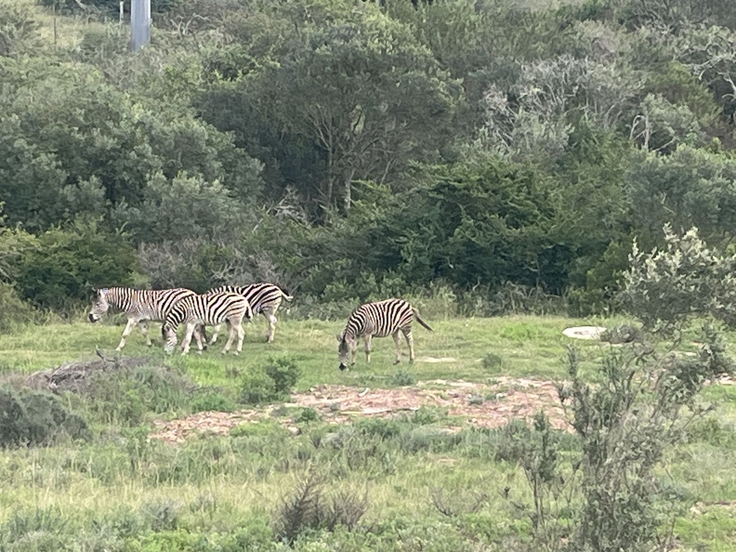 Nature Lover Stand with Dam View For Sale