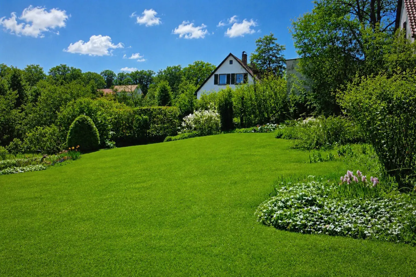 Lush green lawn slopes up to a white house with black trim, surrounded by trees under a blue sky with fluffy clouds.