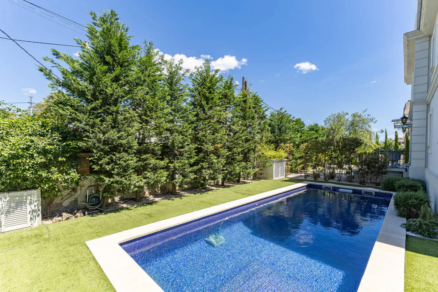 A backyard swimming pool with blue tile, surrounded by green grass and tall trees under a blue sky.