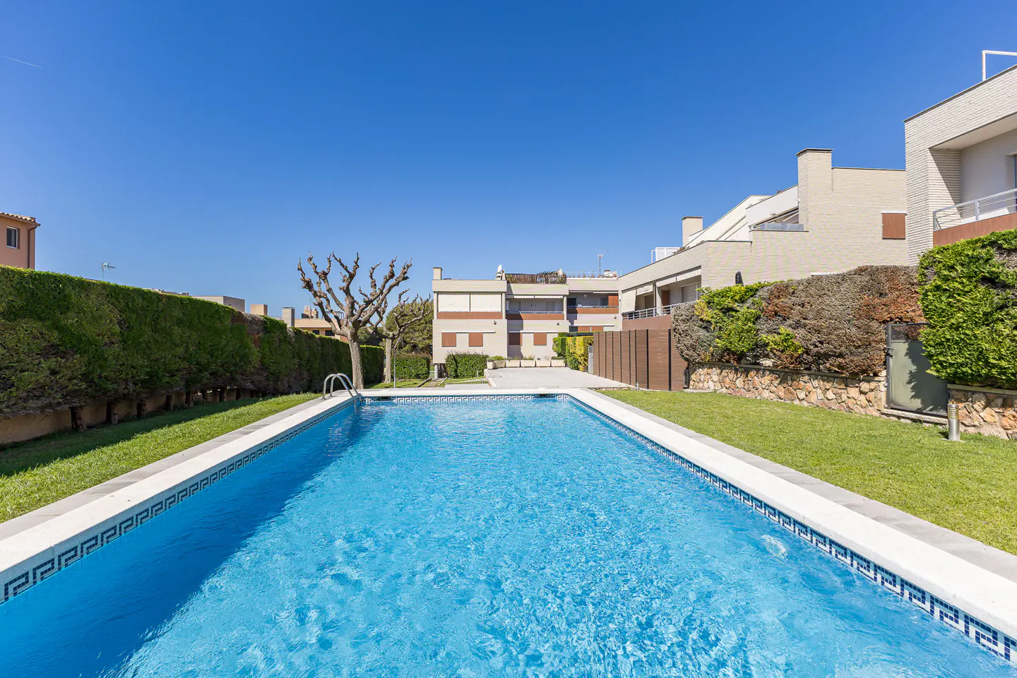 A rectangular swimming pool with blue water, surrounded by green grass and hedges, under a clear blue sky.