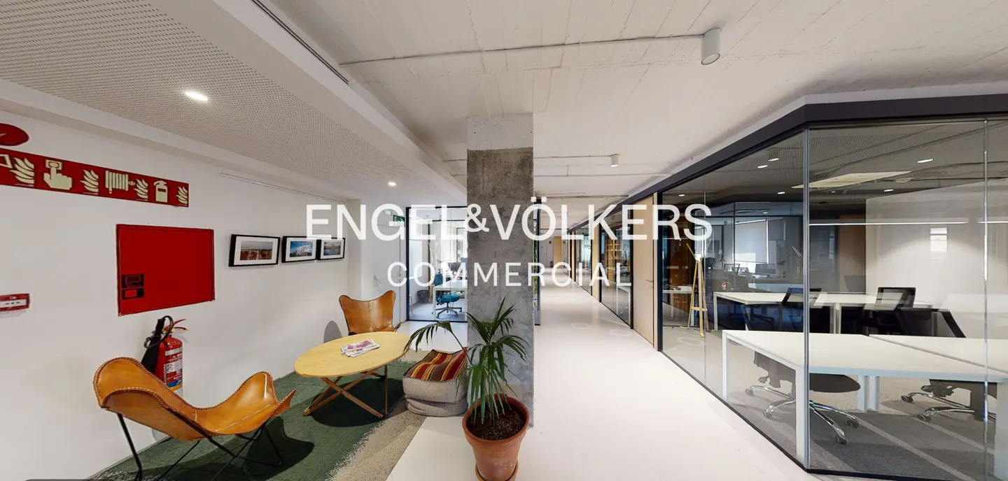 Bright office space with tan leather chairs, a round table, and a potted plant in the foreground. Glass-walled offices line the hallway.