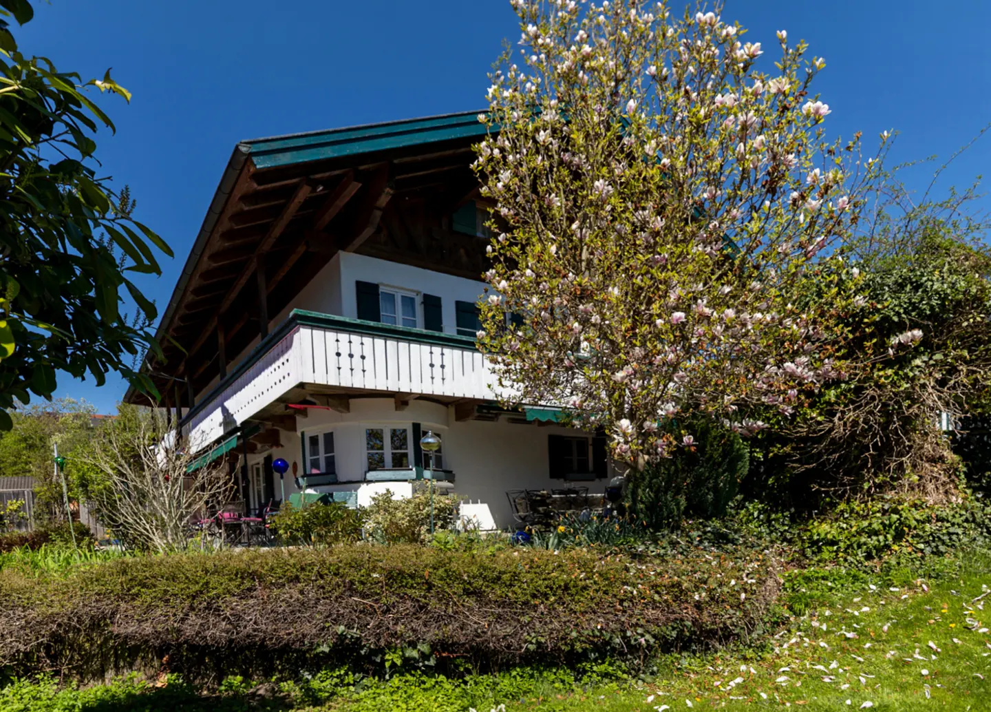 A traditional white Alpine-style house with a wooden balcony, surrounded by a blooming magnolia tree and a green hedge.