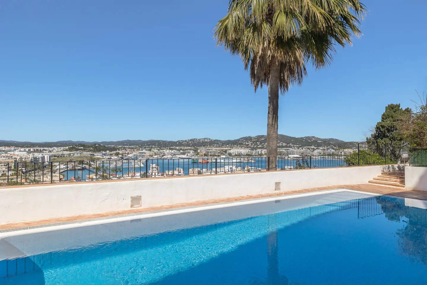 Outdoor pool with a city view. Palm tree on the right, blue sky above. Black railing and white wall separate the pool from the city.