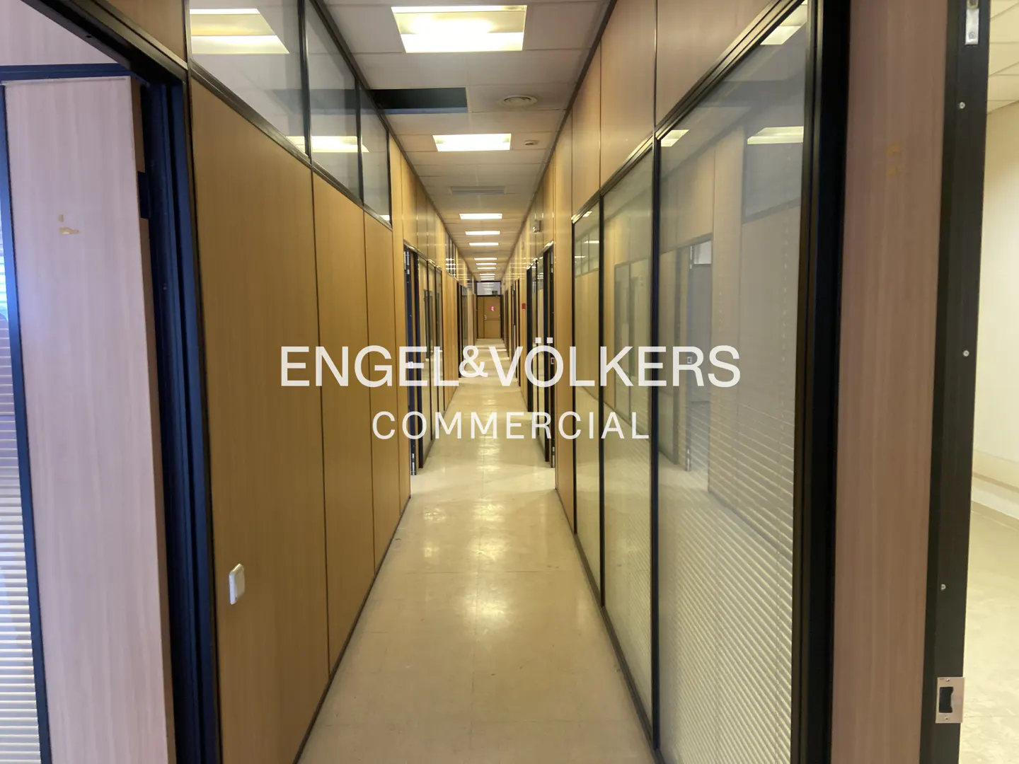 Long office hallway with beige walls and glass-walled offices. "Engel & Völkers Commercial" is superimposed on the image.