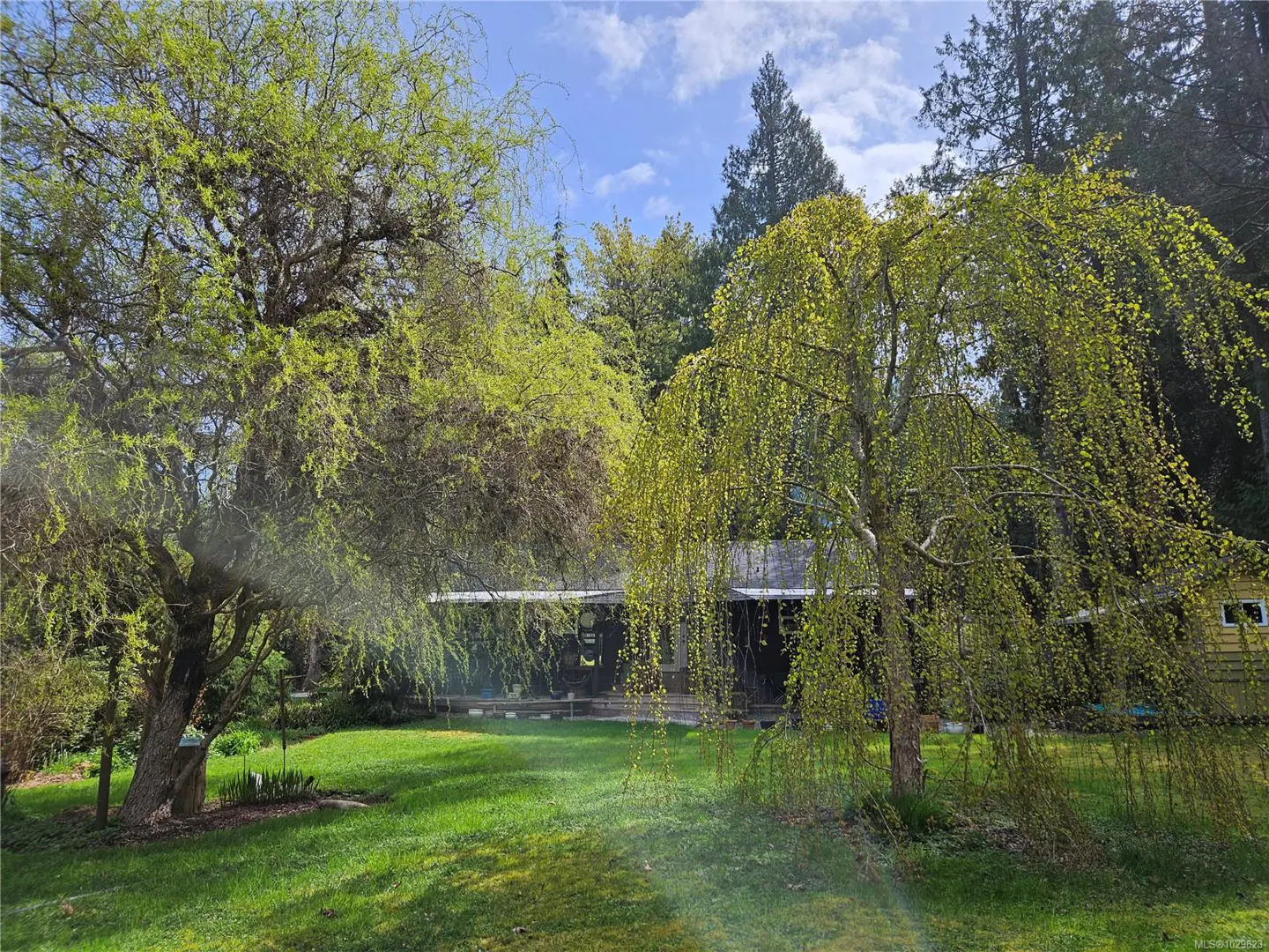 Lush green lawn with trees framing a house. Weeping willow on the right.