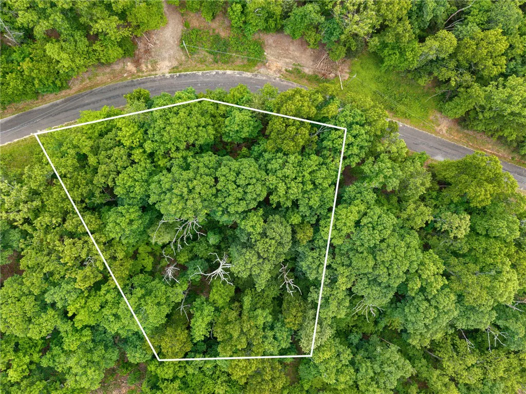 Aerial view of a wooded property outlined in white, next to a road. Green trees fill the lot.