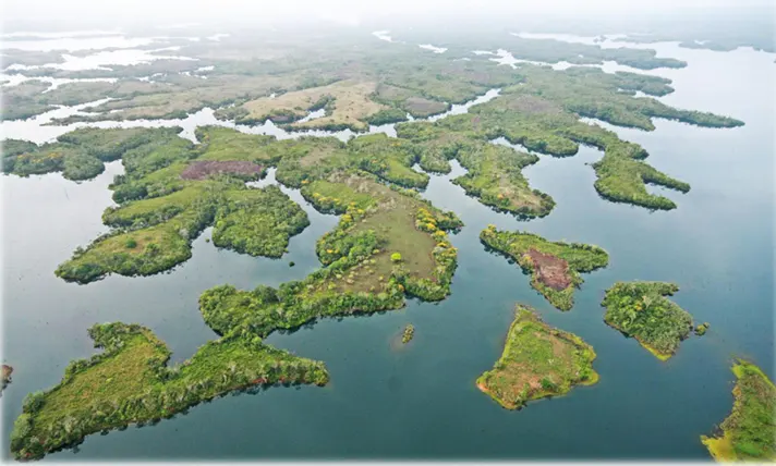 Aerial view of green islands in a lake, with a misty sky above.