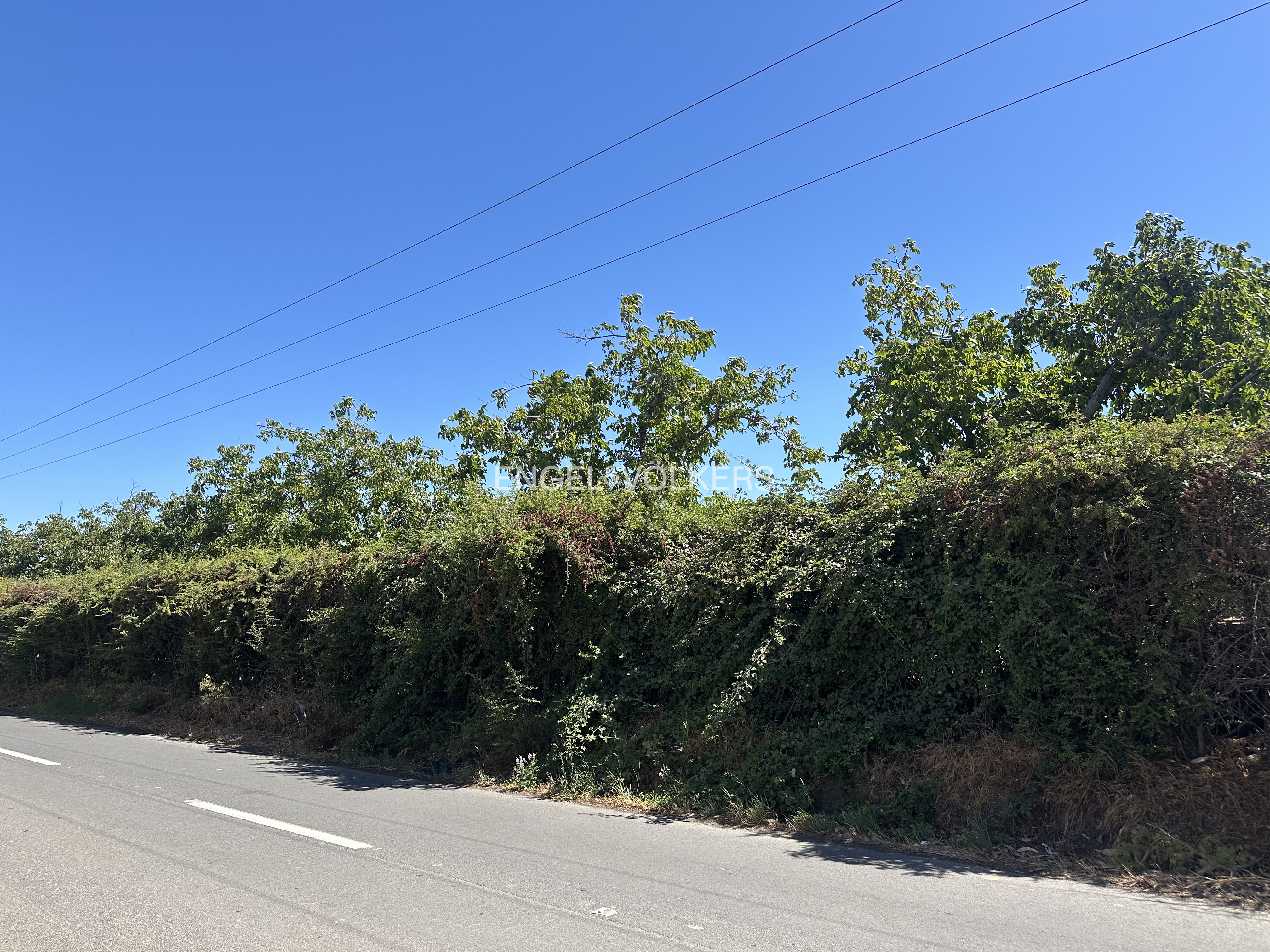 Terreno Carretera del Cobre