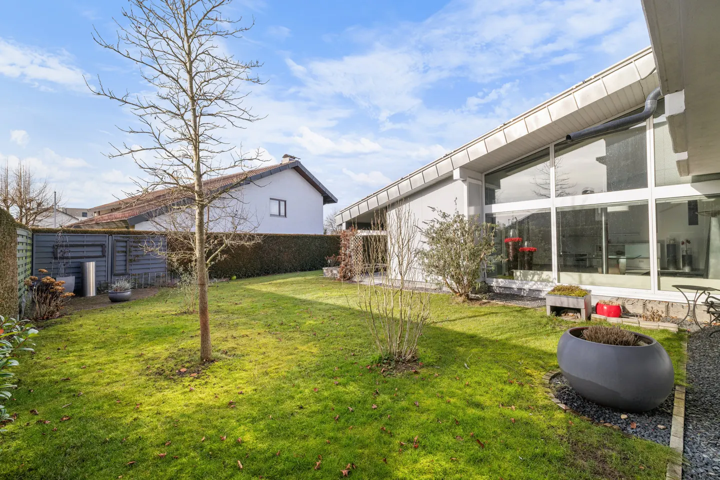 A green lawn with a tree and a modern house with large windows under a blue sky.
