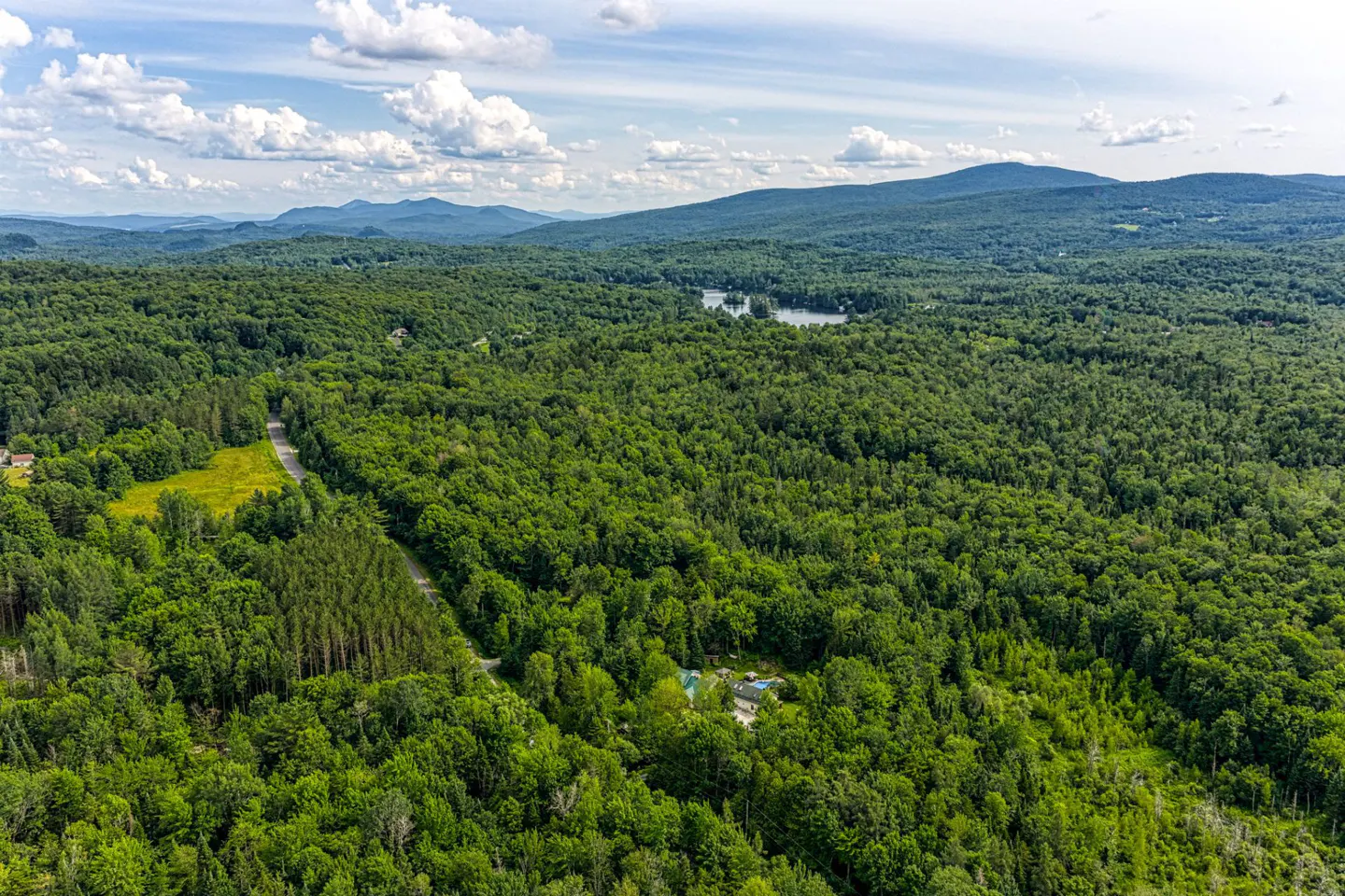 Aerial view of a lush green forest with mountains in the background under a blue sky with white clouds.