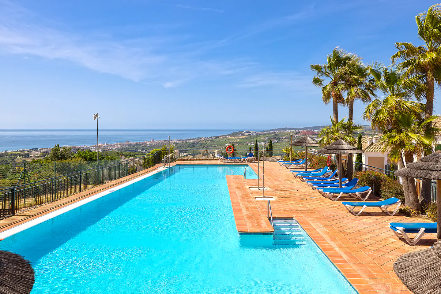 A bright blue swimming pool is surrounded by palm trees and lounge chairs on a sunny day.
