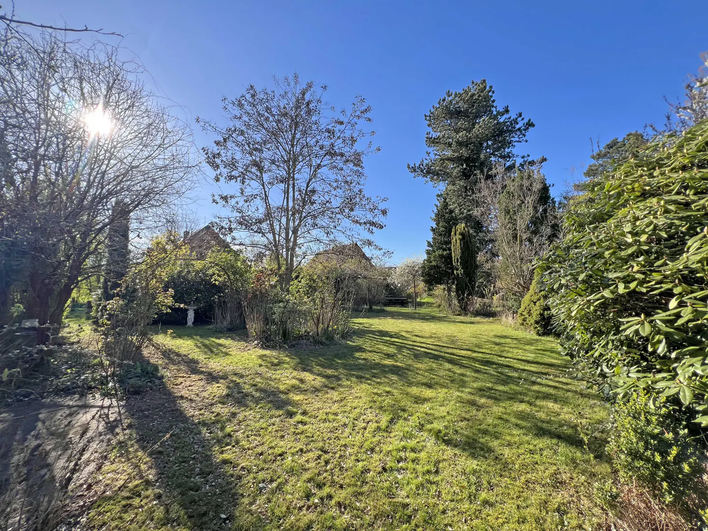 A sunny backyard with green grass, trees, and a glimpse of a house in the background.