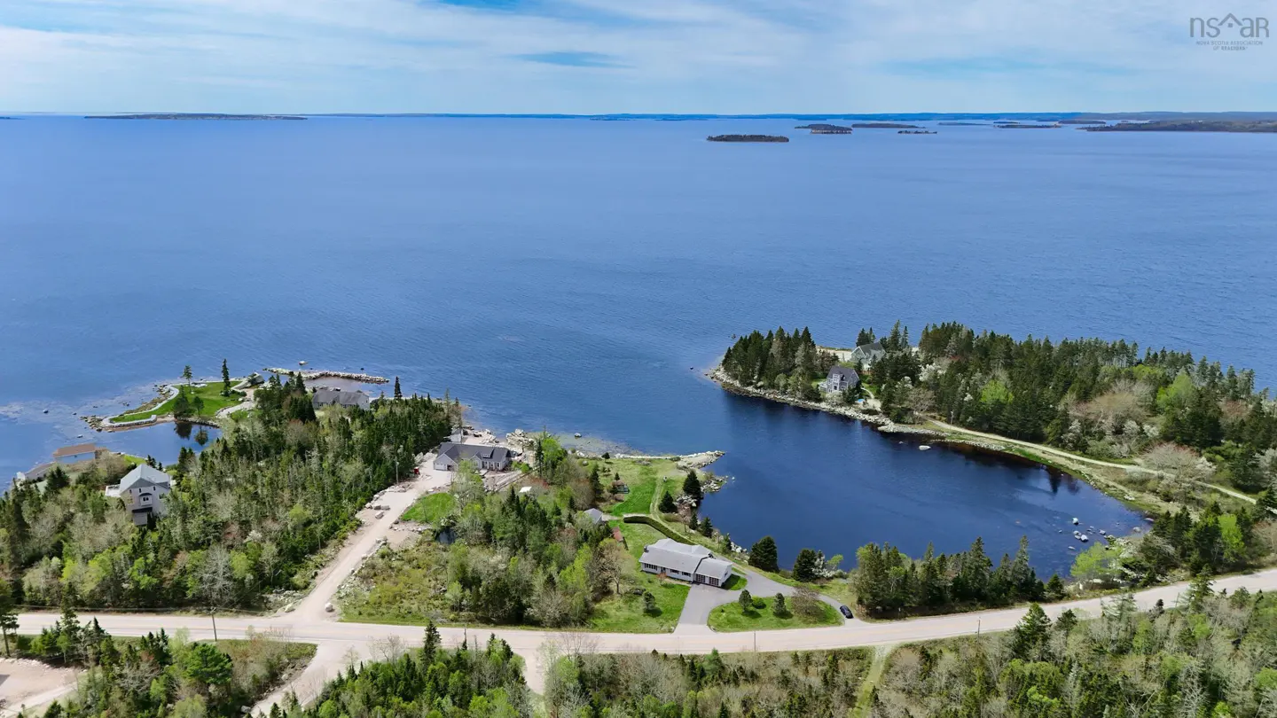 Aerial view of waterfront homes surrounded by green trees, with a blue ocean and sky in the background.