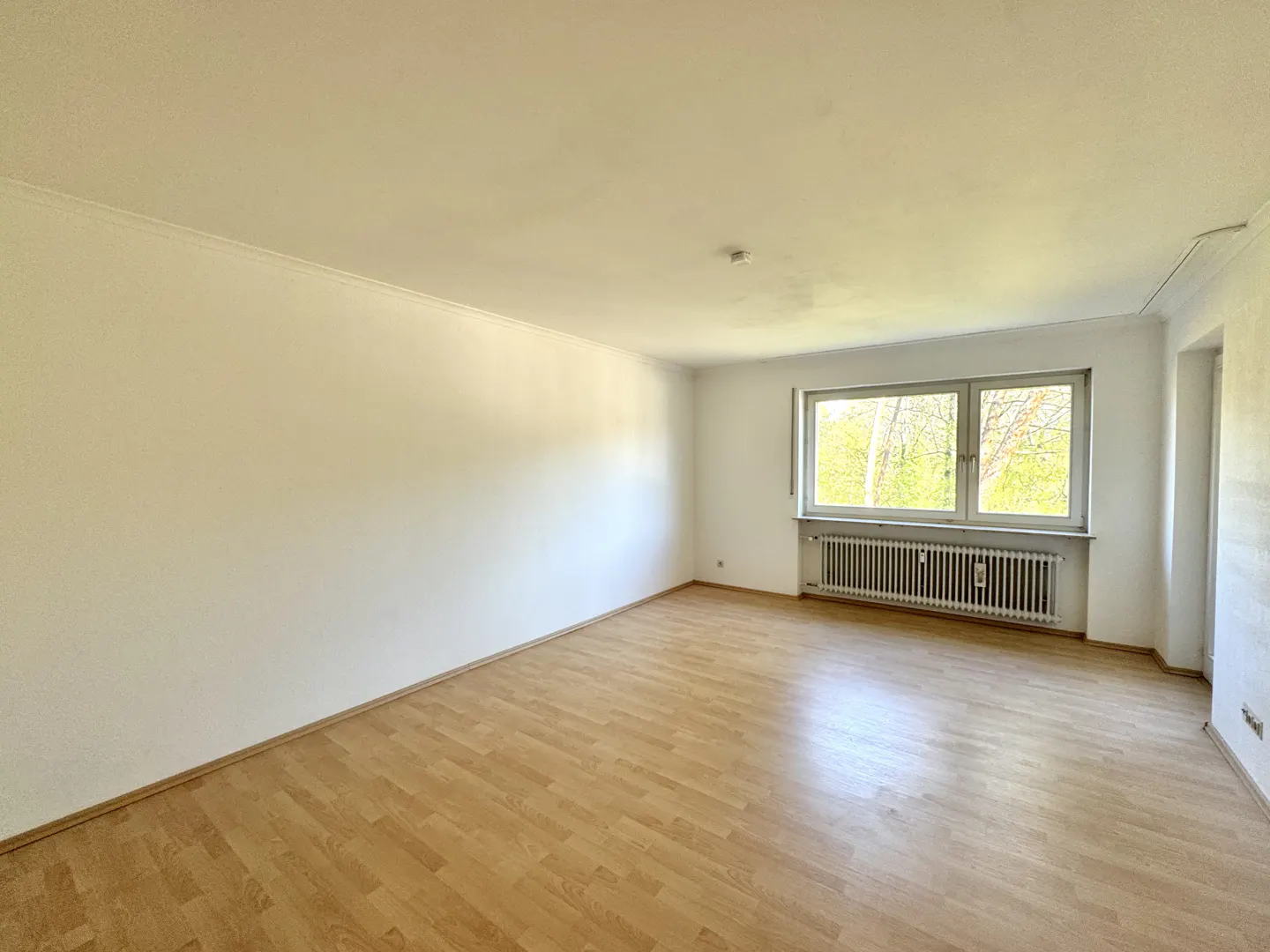 Bright, empty room with light wood floors, white walls, and a window overlooking trees. A radiator sits beneath the window.