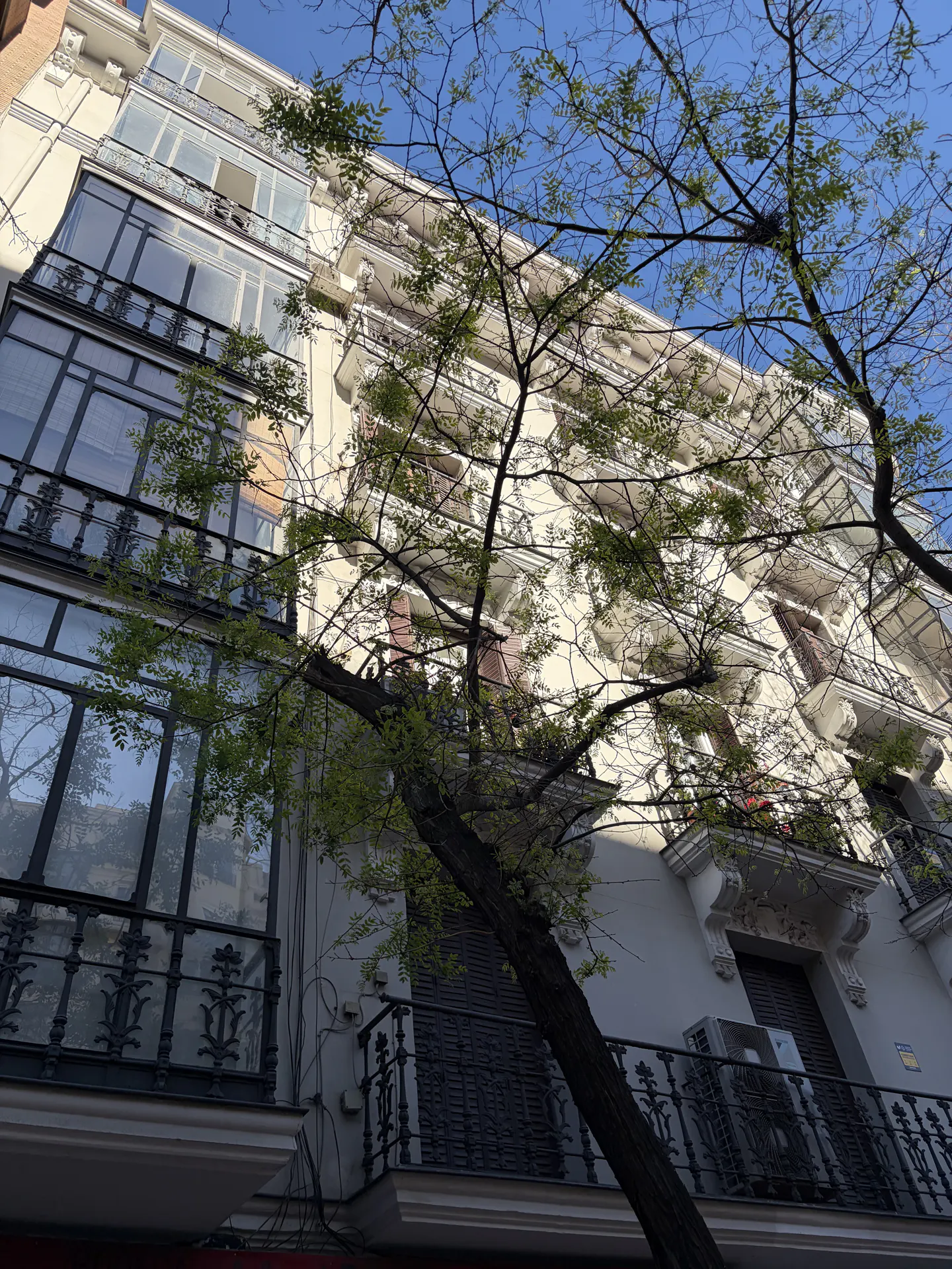 Exterior view of a white apartment building with black iron balconies and glass enclosed terraces, framed by tree branches.