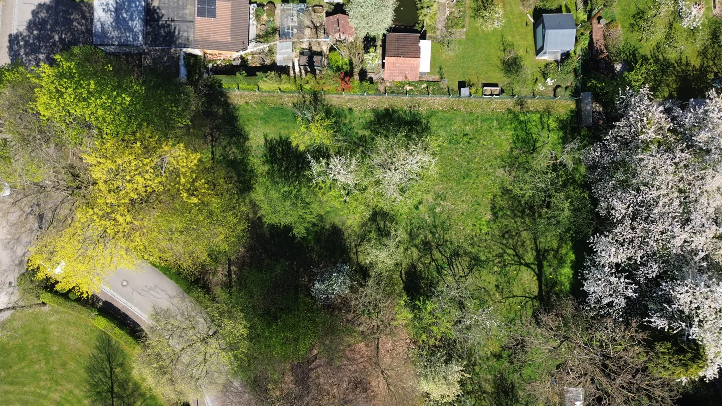Aerial view of a green lot with trees, grass, and a road. Houses and gardens are visible in the background.
