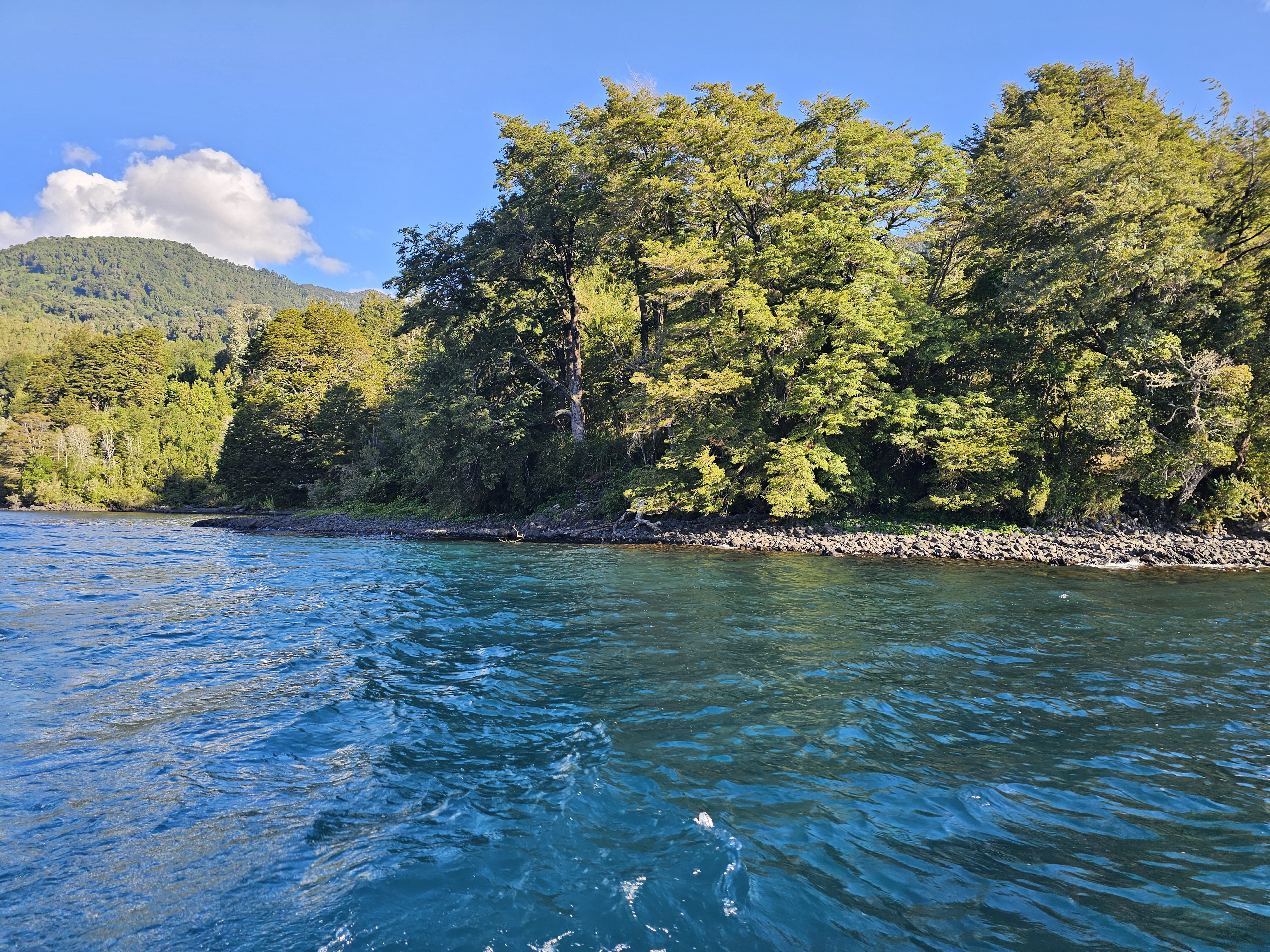 Terreno con borde de lago y subdivisión aprobada en Lago Rupanco