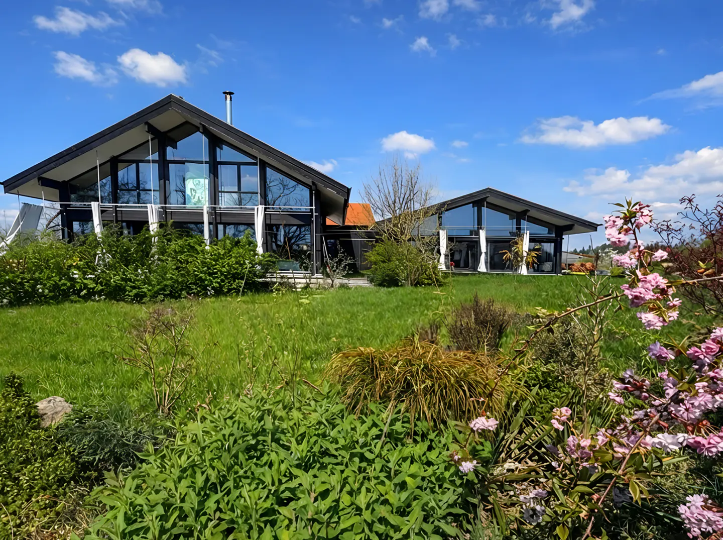 Modern homes with black trim and large windows sit on a green lawn under a blue sky with pink flowers in the foreground.