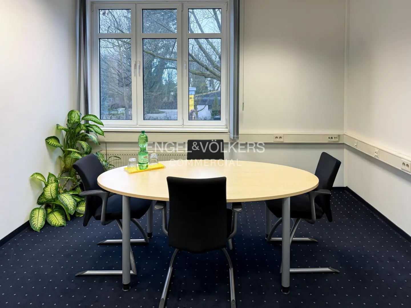 A conference room with a light wood table, black chairs, and blue carpet. A window provides natural light. A plant and water bottle add a touch of life.