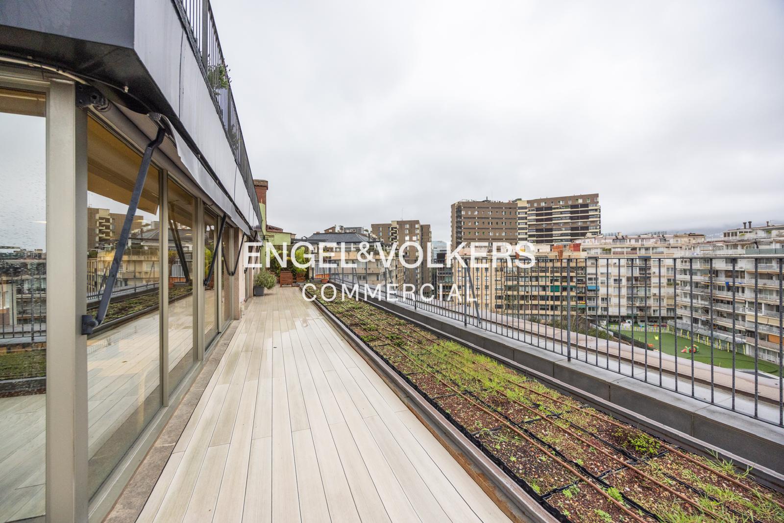 Oficina atico Plug & Play con terraza privativa