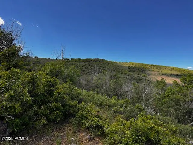 Hilly landscape with green bushes under a clear blue sky.