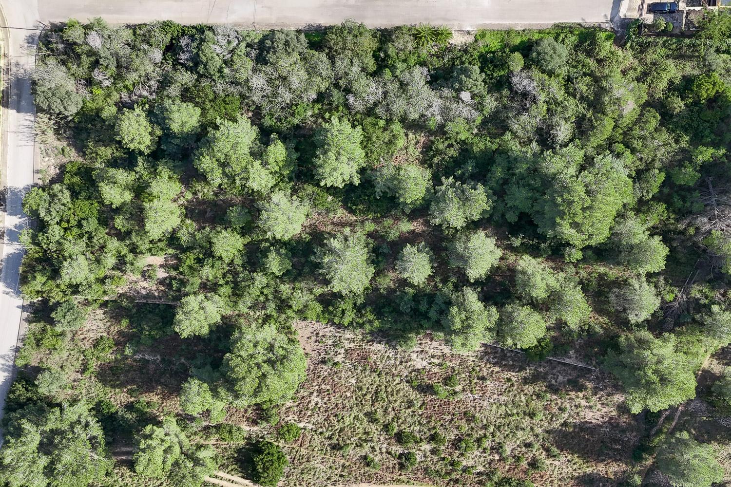 Suelo en Jávea con aprox. 5.200 m² urbanos | + 5.000 m² en Lluca (PAI)