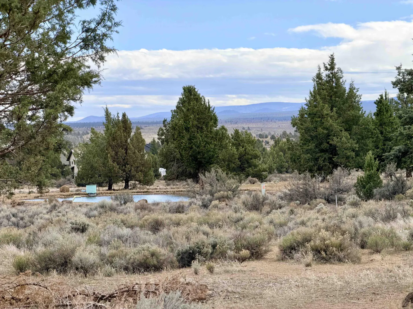 Landscape view of a property with a pond, sagebrush, and evergreen trees under a blue sky with clouds.