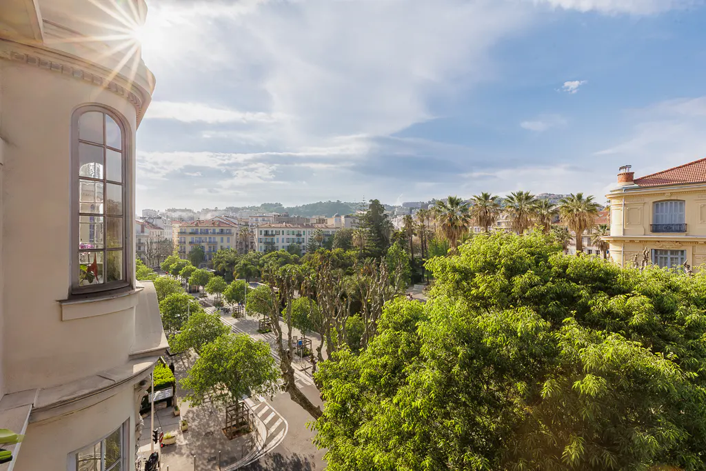 View from a building overlooking a tree-lined street in a European city. Palm trees and buildings are visible in the distance.