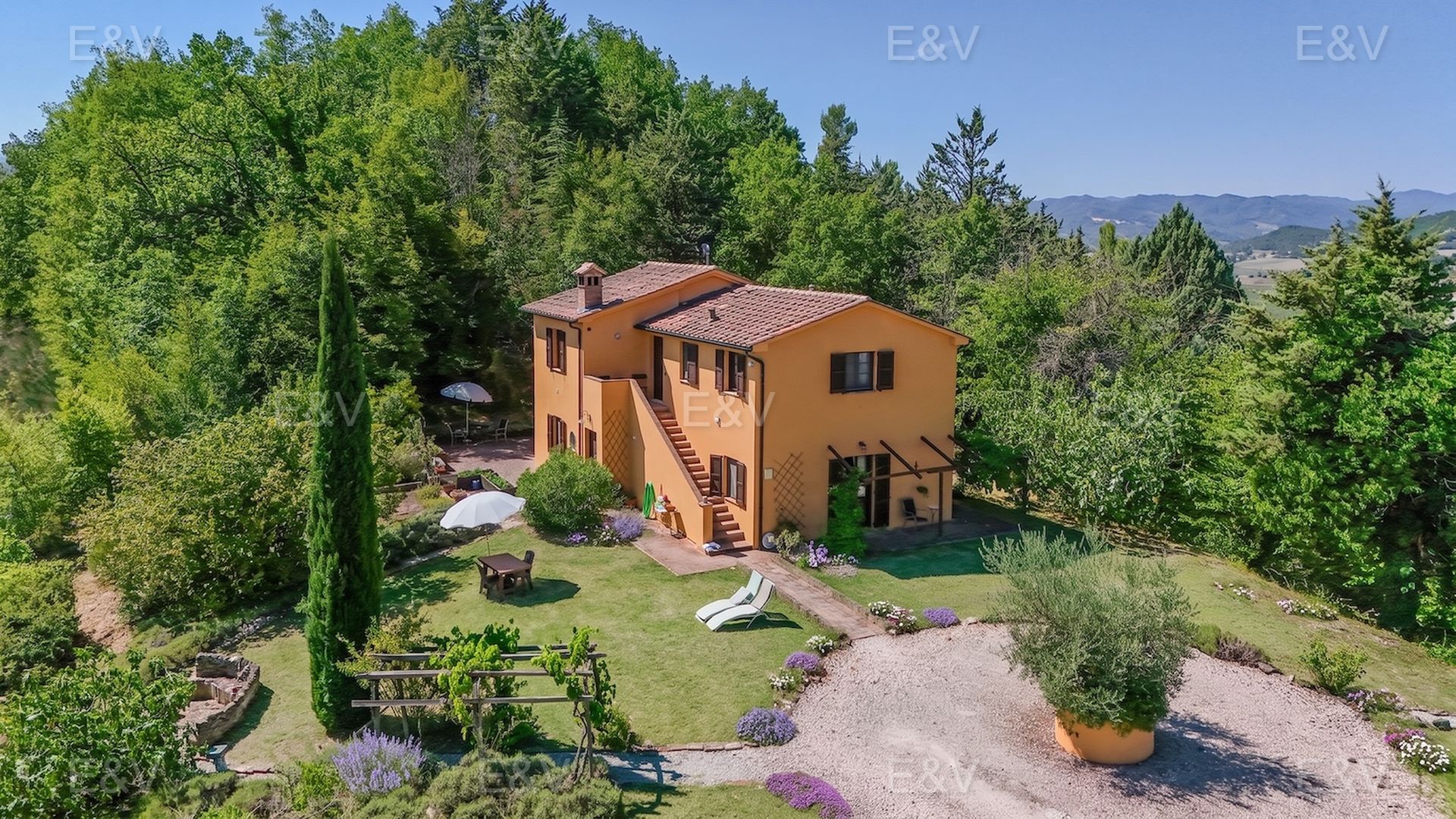 Property surrounded by greenery