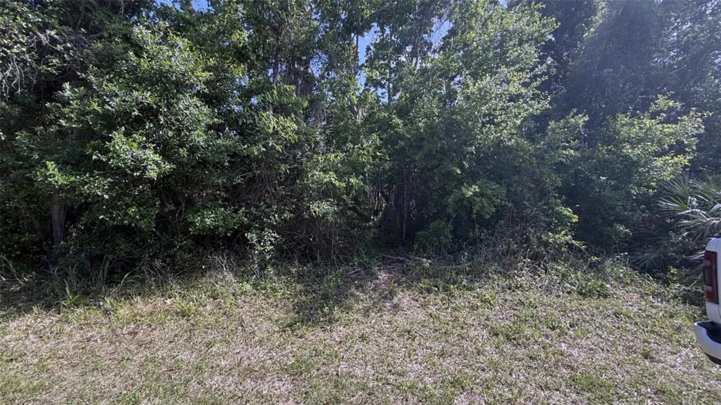 Vacant land lot with dense green trees and brush. A partial view of a white truck is on the right.