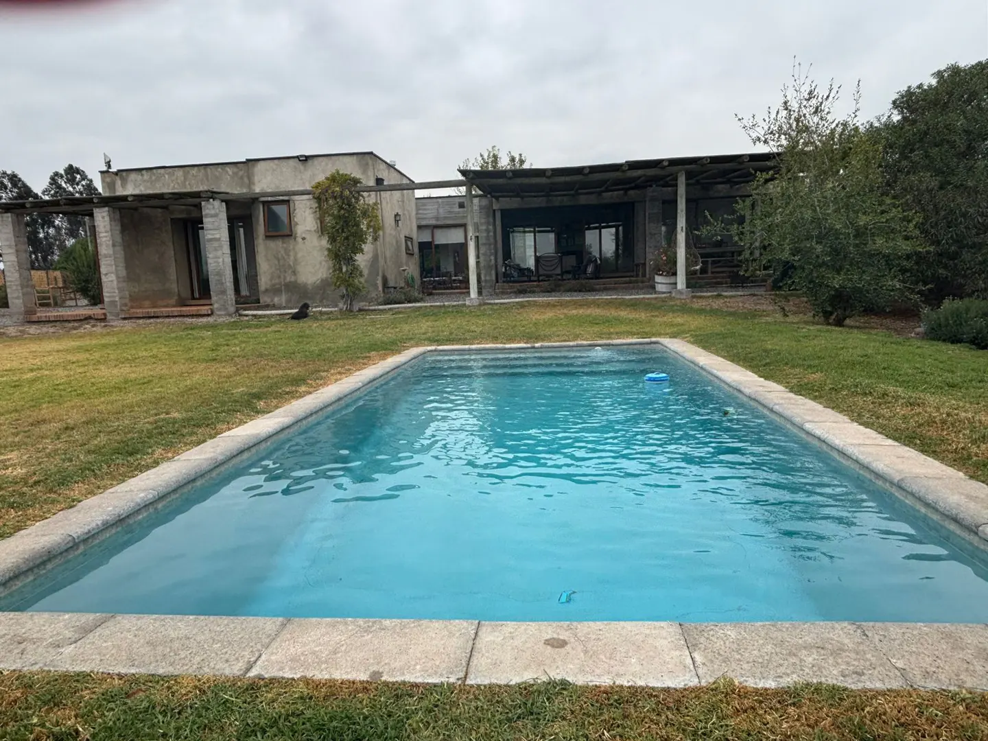 A rectangular swimming pool with blue water in a grassy backyard, with a modern house in the background.