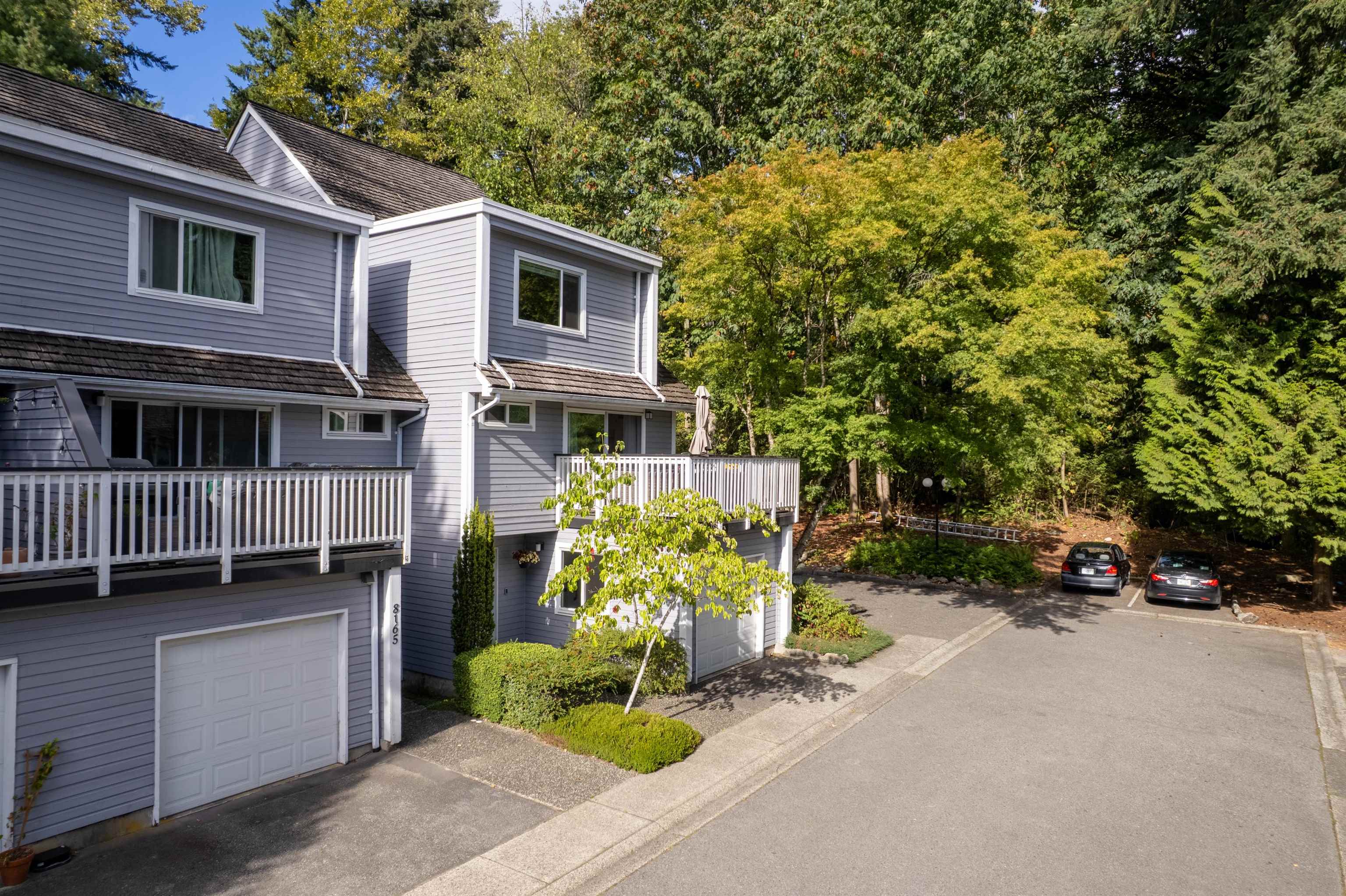 Where Forest Living Meets Modern Family Comfort