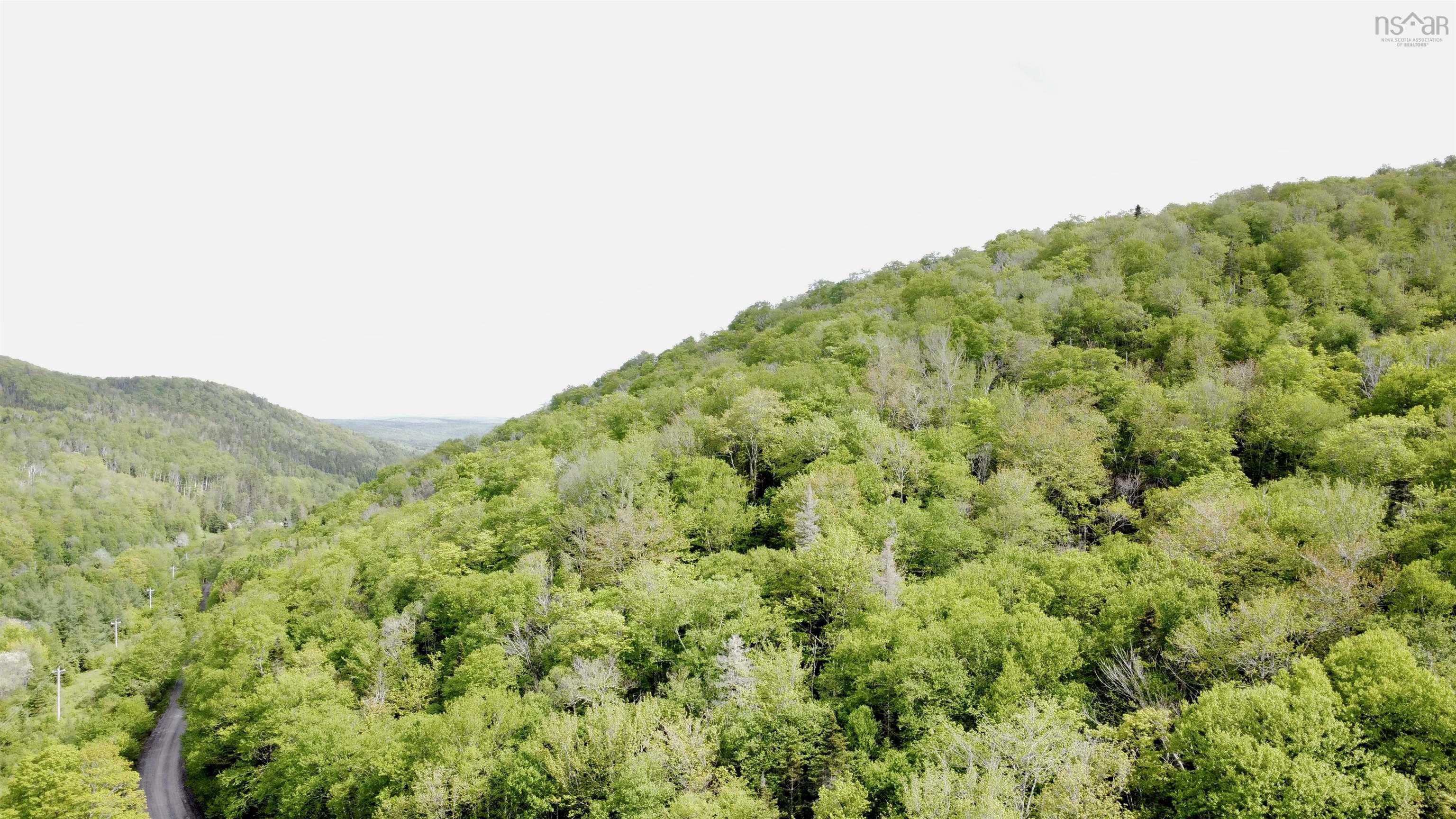 Serene, 12-acre mountain-side parcel