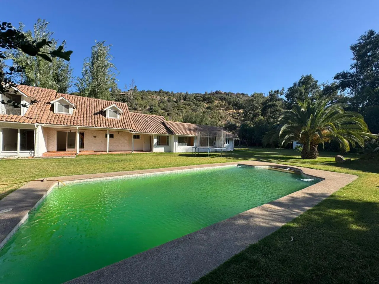 A large house with a terracotta roof overlooks a green swimming pool in a spacious backyard with trees and a hill behind.