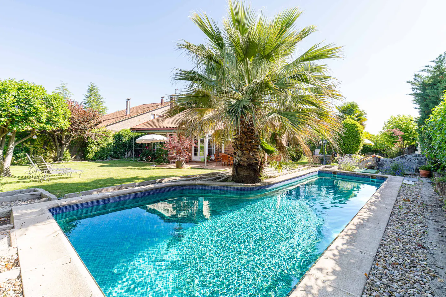 A backyard with a blue tiled pool, a palm tree, green grass, and a house in the background.