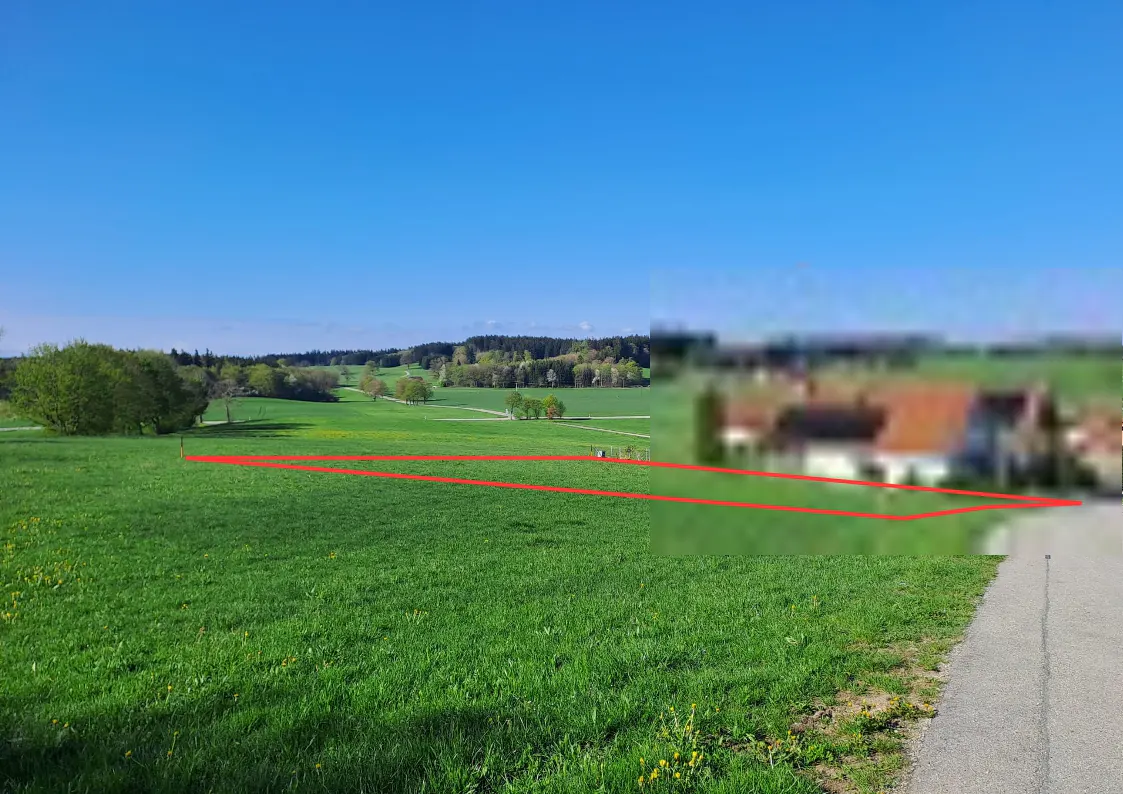 A grassy field with a red outline, indicating property lines, under a clear blue sky. Trees and a blurred house are in the background.