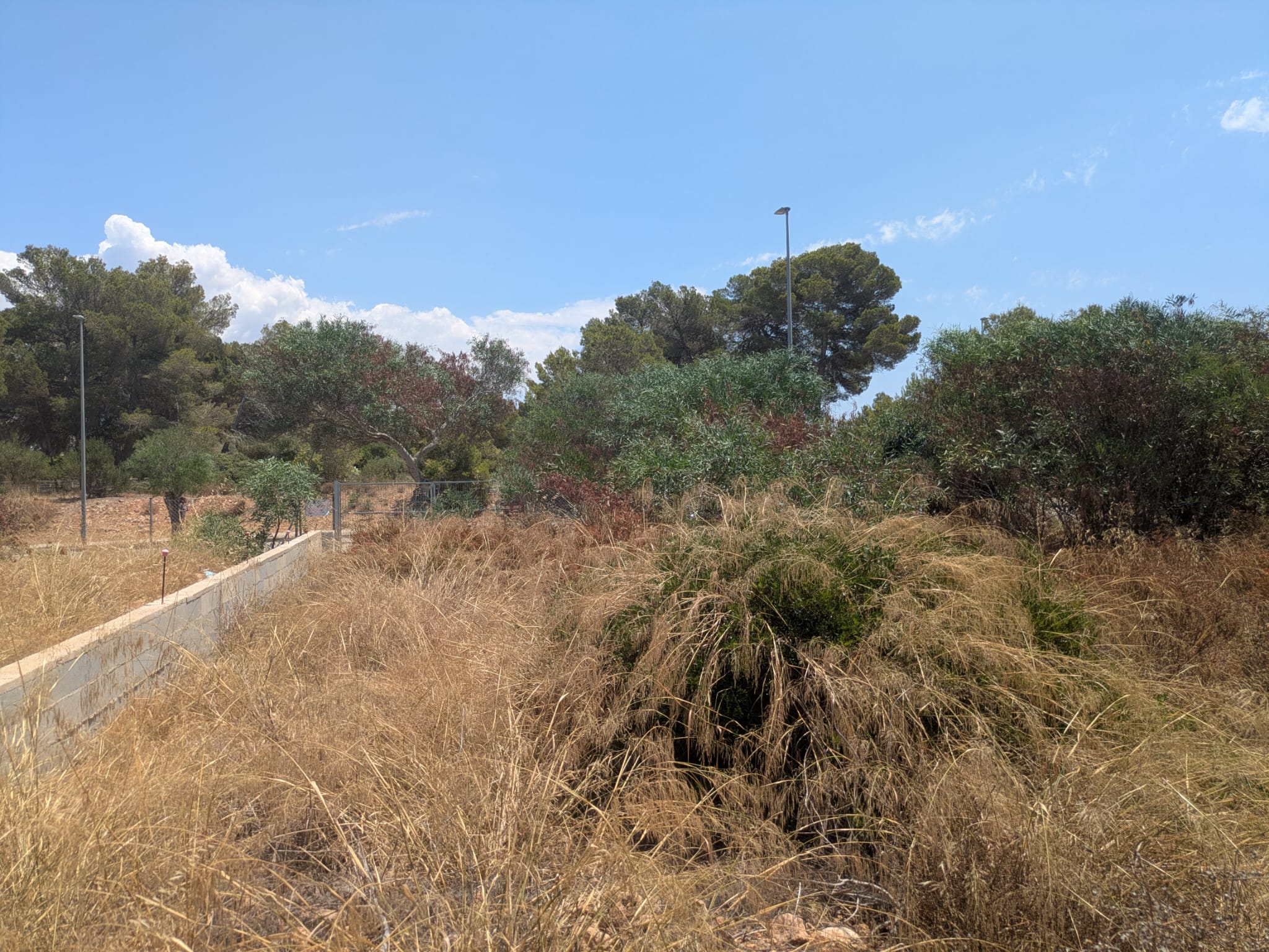 Building plot in a prime location in Puig de Ros
